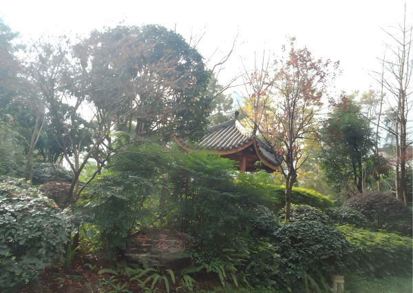 bevitor·伟德国际官方网站 - 始于1946源于英国