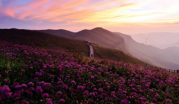 bevitor·伟德国际官方网站 - 始于1946源于英国