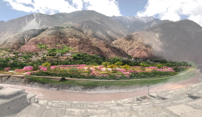 bevitor·伟德国际官方网站 - 始于1946源于英国