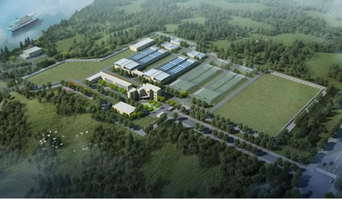 bevitor·伟德国际官方网站 - 始于1946源于英国