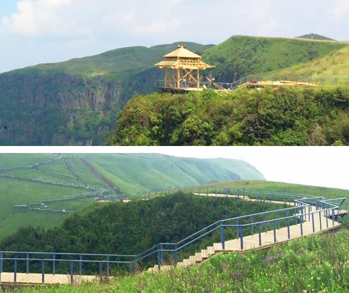 bevitor·伟德国际官方网站 - 始于1946源于英国